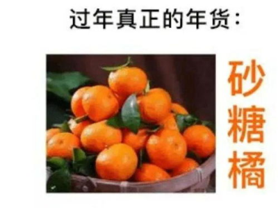 砂糖橘与蜜桔：甜蜜邂逅，探寻橘香之源