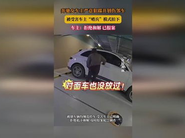 女车主狠踹划伤邻车被哨兵模式拍下