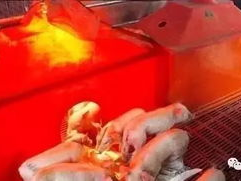 冬日高温下的热射病风险：冬季热射病的预防与应对