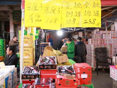 10斤车厘子批发价从1700元降至500